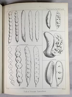 Revisions of the Suborder Mimoseae (Linnean Society, 1875)