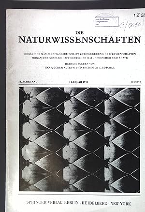 Immagine del venditore per Zur Photoproduktion von Hadronen; in: 58. Jg. Heft 2 Die Naturwissenschaften - Organ der Max-Planck-Gesellschaft zur Frderung der Wissenschaften, Organ der Gesellschaft deutscher Naturforscher und rzte; venduto da books4less (Versandantiquariat Petra Gros GmbH & Co. KG)