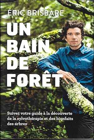 Un bain de forêt, suivez votre guide à la découverte de la sylvothérapie et des bienfaits des arbres