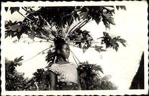 Image du vendeur pour Ansichtskarte / Postkarte Yoko Kamerun, Les grands fleurs du papayer male, indigene, portrait, Mission Catholique mis en vente par akpool GmbH