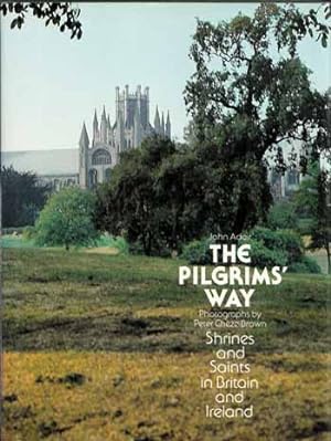 Bild des Verkufers fr The Pilgrims' Way : Shrines and Saints in Britain and Ireland zum Verkauf von Adelaide Booksellers