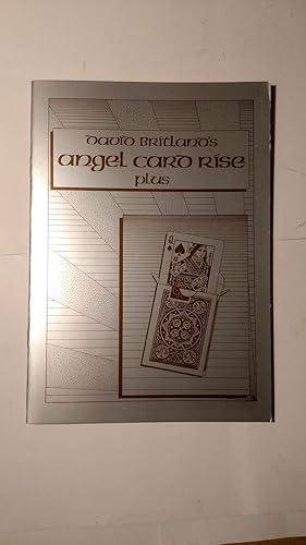 Image du vendeur pour Angel Card Rise Plus mis en vente par Hinch Books