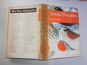 British Thrushes