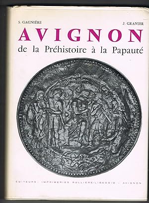 Avignon de la préhistoire à la papauté