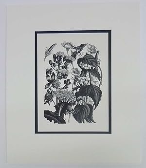 Weeds (1936 Lithograph Print, Botanical Plants )