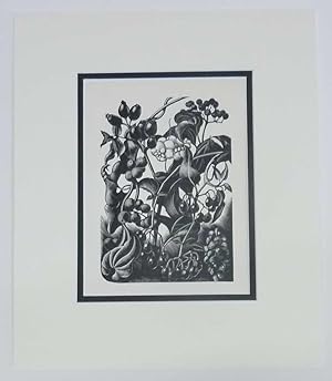 Berries, (1936 Lithograph Print, Botanical Plants Fruit )