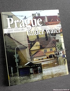 Bild des Verkufers fr Prague Under Water zum Verkauf von BookLovers of Bath