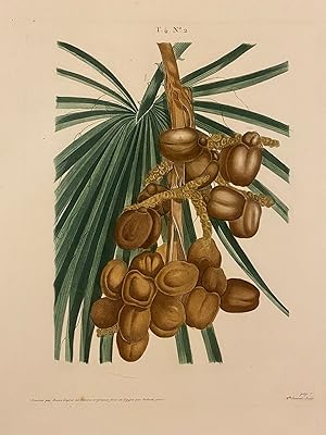 Seller image for T.4. No. 2 [Date Palm] for sale by Argosy Book Store, ABAA, ILAB