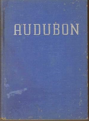 AUDUBON