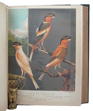 THE ILLUSTRATED BOOK OF CANARIES AND CAGE-BIRDS, BRITISH AND FOREIGN