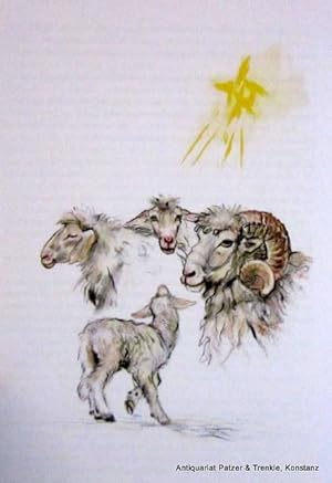 Bild des Verkufers fr Locki, das hinkende Lamm. Weihnachtsgeschichten. Singen, Kalliope Verlag, 1997. Mit farbigen Illustrationen von Gabiele Haslinger. 79 S. Farbiger Or.-Pp. (ISBN 3931493067). zum Verkauf von Jrgen Patzer