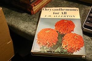 Immagine del venditore per Chrysanthemums For All venduto da SGOIS