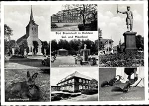 Bild des Verkufers fr Ansichtskarte / Postkarte Bad Bramstedt Schleswig Holstein, Kurhaus, Kirche, Bambi im Kurpark, Eichhrnchen, Roland zum Verkauf von akpool GmbH