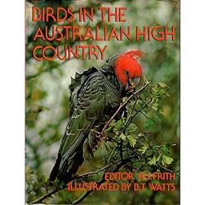 Imagen del vendedor de Birds in the Australian High Country a la venta por Buteo Books