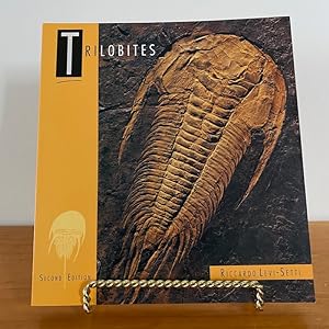 Imagen del vendedor de Trilobites a la venta por bottom books