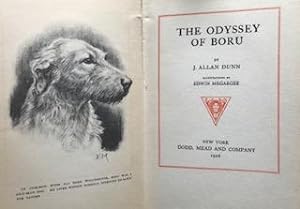 The Odyssey of Boru