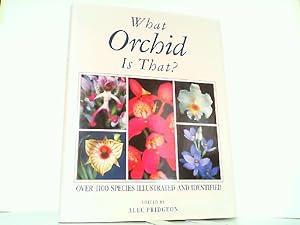 What Orchid Is That - Over 1100 Species IIlustrated and Identified.