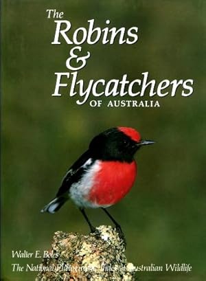 The Robins and Flycatchers of Australia