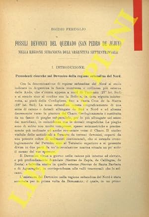 Fossili devonici del Quemado (San Pedro de Jujuy) nella regione subandina dell'Argentina settentr...