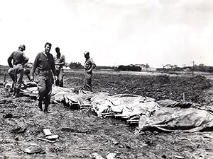 Japan Okinawa American Troops & Dead Soldiers old Photo May 1945