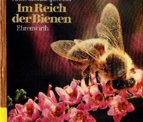 Im Reich der Bienen.