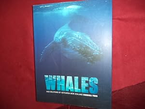 Imagen del vendedor de Whales and Dolphins of Aotearoa New Zealand. a la venta por BookMine