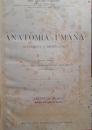 Anatomia umana sistematica e microscopica. Volume 1