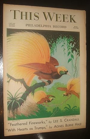 Seller image for This Week Fact and Fiction Section Philadelphia Record Feathered Fireworks for sale by biblioboy