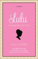 Immagine del venditore per Lulu: One Woman's Journey from Poverty and the Occult to Enduring Faith and True Riches venduto da ChristianBookbag / Beans Books, Inc.
