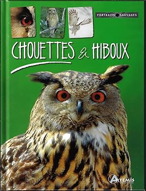 Chouettes et hiboux