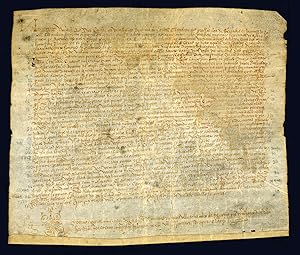 Documento latino su pergamena. 27 luglio 1536.