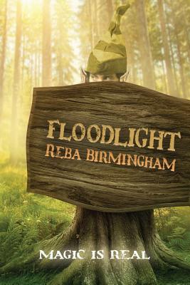 Seller image for Floodlight: Book One in the Hercynian Forest Series (Paperback or Softback) for sale by BargainBookStores