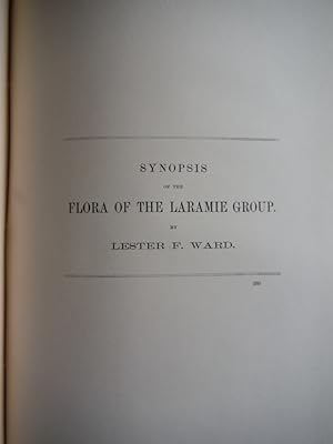 Synopsis of the Flora of the Laramie Group