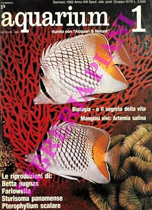 Aquarium. Mensile di informazione e di attualità acquariofila.