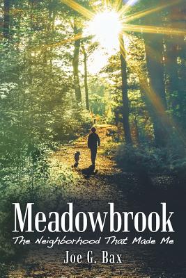 Seller image for Meadowbrook: The Neighborhood That Made Me (Paperback or Softback) for sale by BargainBookStores