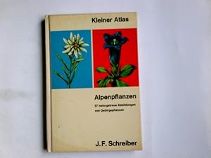 Alpenpflanzen. bearb. von W. Wiedmann / Schreibers kleiner Atlas