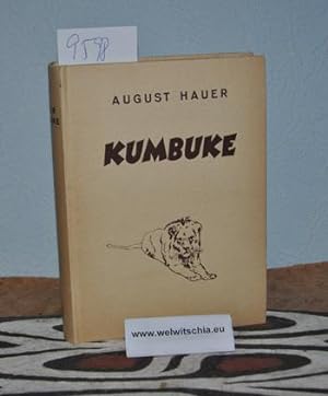 Kumbuke. Kriegserlebnisse eines Arztes in Deutsch-Ostafrika. Mit 30 Photos und 3 Kartenskizzen.
