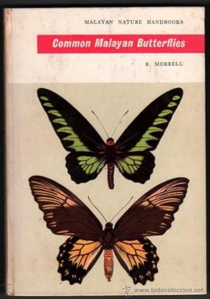 ENTOMOLOGIA - 1960 - COMMON MALAYAN BUTTERFLIES - R.MORRELL - ILUSTRADO