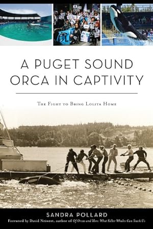 Seller image for Puget Sound Orca in Captivity : The Fight to Bring Lolita Home for sale by GreatBookPrices
