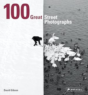Immagine del venditore per 100 Great Street Photographs venduto da GreatBookPrices