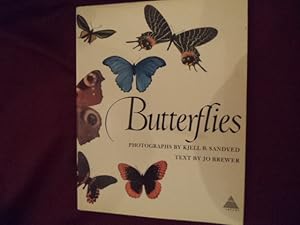 Seller image for Butterflies. for sale by BookMine