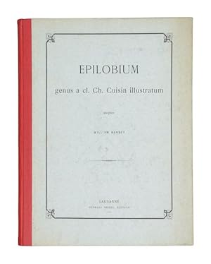 Epilobium genus a cl. Ch. Cuisin illustratum.