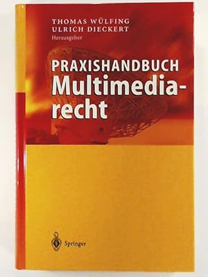 Praxishandbuch Multimediarecht