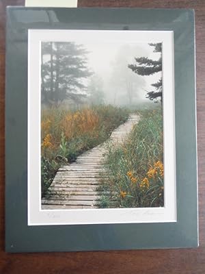Misty Path (Signed Limited Edition Print)