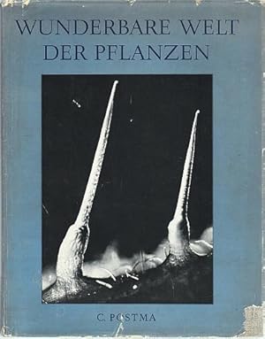 Wunderbare Welt der Pflanzen. Formen und Strukturen der Blütenpflanzen. Mit einem Geleitwort von ...