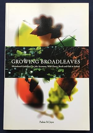 Immagine del venditore per Growing Broadleaves : Silvicultural Guidelines for Ash, Sycamore, Wild Cherry, Beech and Oak in Ireland venduto da Joe Collins Rare Books
