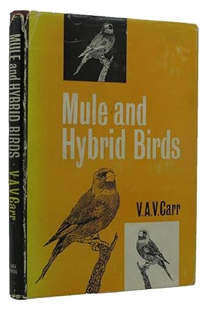 MULE AND HYBRID BIRDS