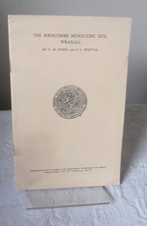 The Birdcombe Mesolithic site, Wraxall, Somerset.