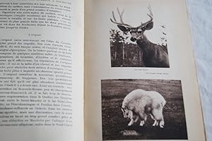Seller image for LA CHASSE DES ANIMAUX A FOURRURE AU CANADA for sale by Librairie RAIMOND