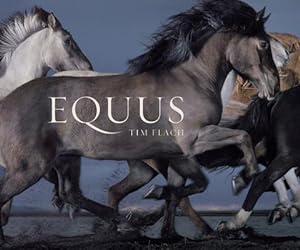 Immagine del venditore per Equus (Mini) (Hardback or Cased Book) venduto da BargainBookStores